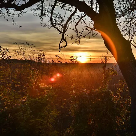 Landgasthof Falken לינה וארוחת בוקר Huttlingen
