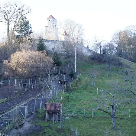 Bed & Breakfast Landgasthof Falken 2*